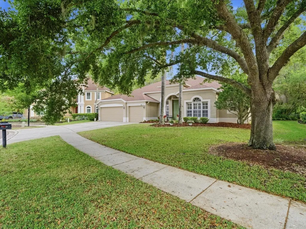 18931 Chaville Road Lutz FL 33558