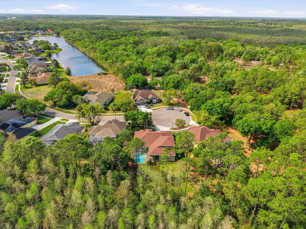 18931 Chaville Road Lutz FL 33558