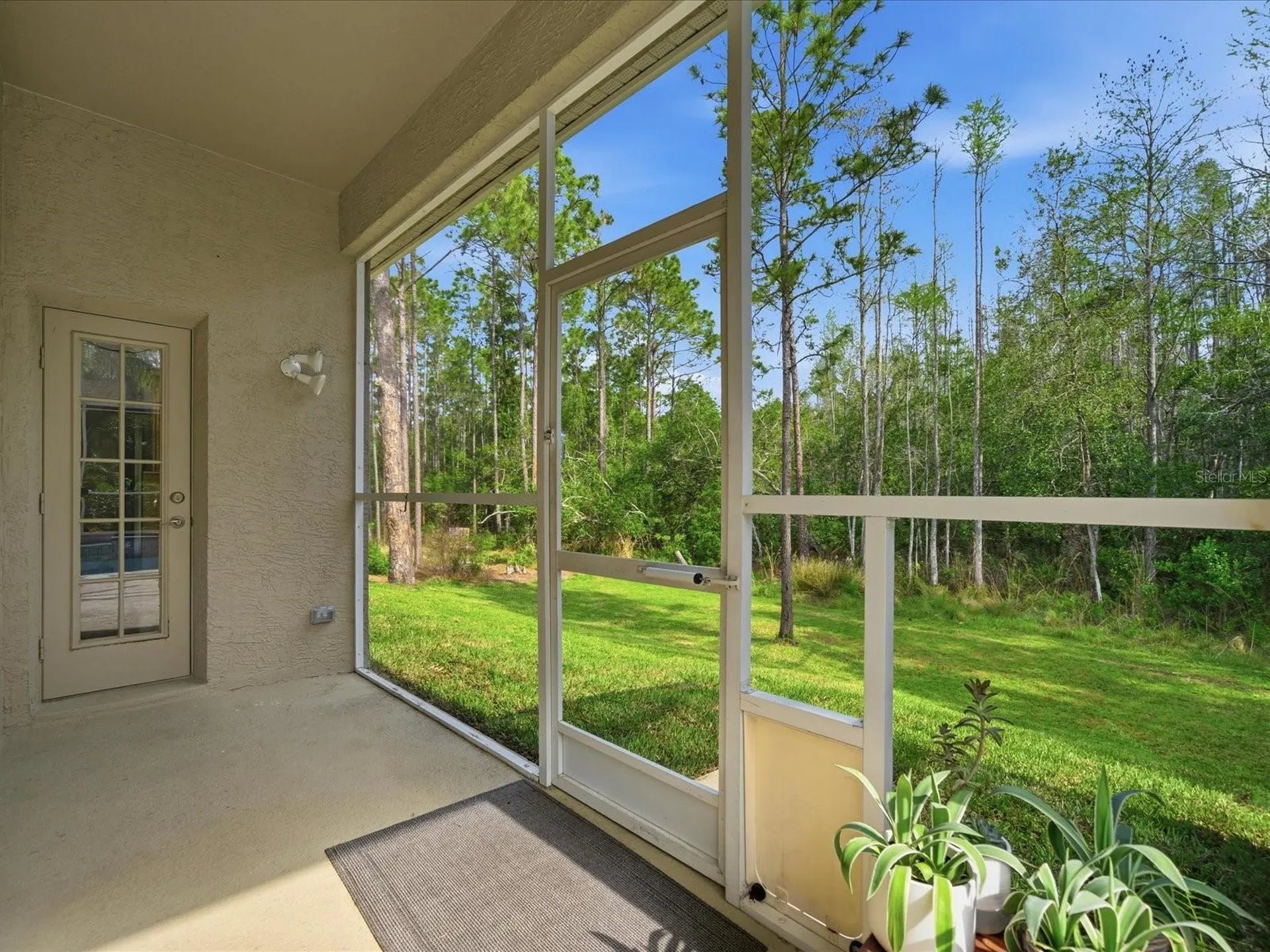 18931 Chaville Road Lutz FL 33558