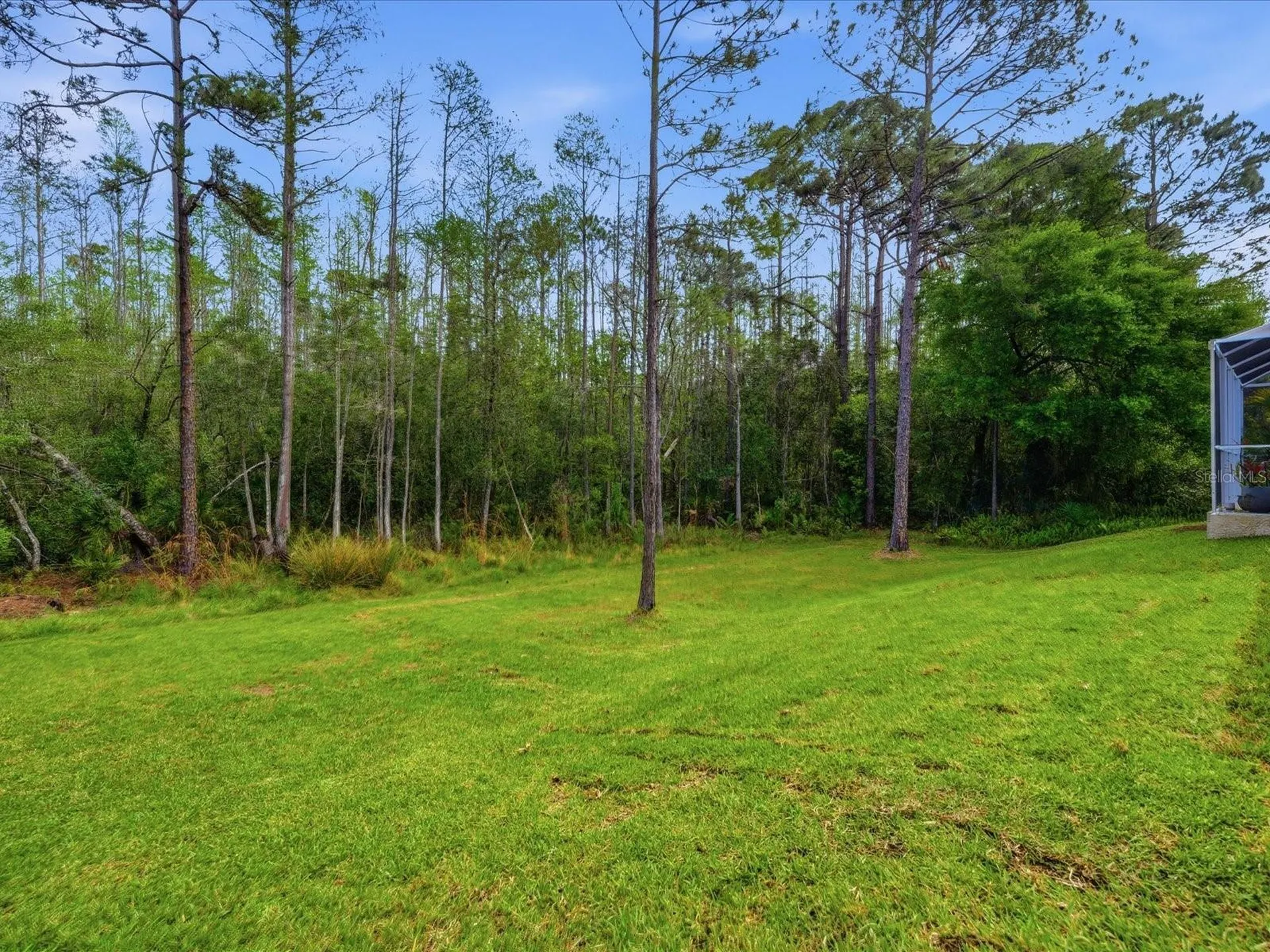 18931 Chaville Road Lutz FL 33558