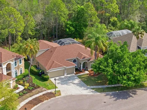 18931 Chaville Road Lutz FL 33558