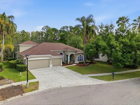 18931 Chaville Road Lutz FL 33558