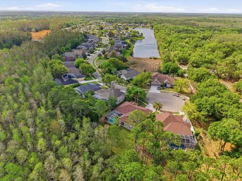 18931 Chaville Road Lutz FL 33558