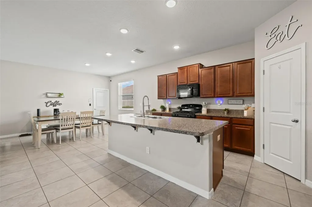 21126 Passive Porch Drive Land O Lakes FL 34637