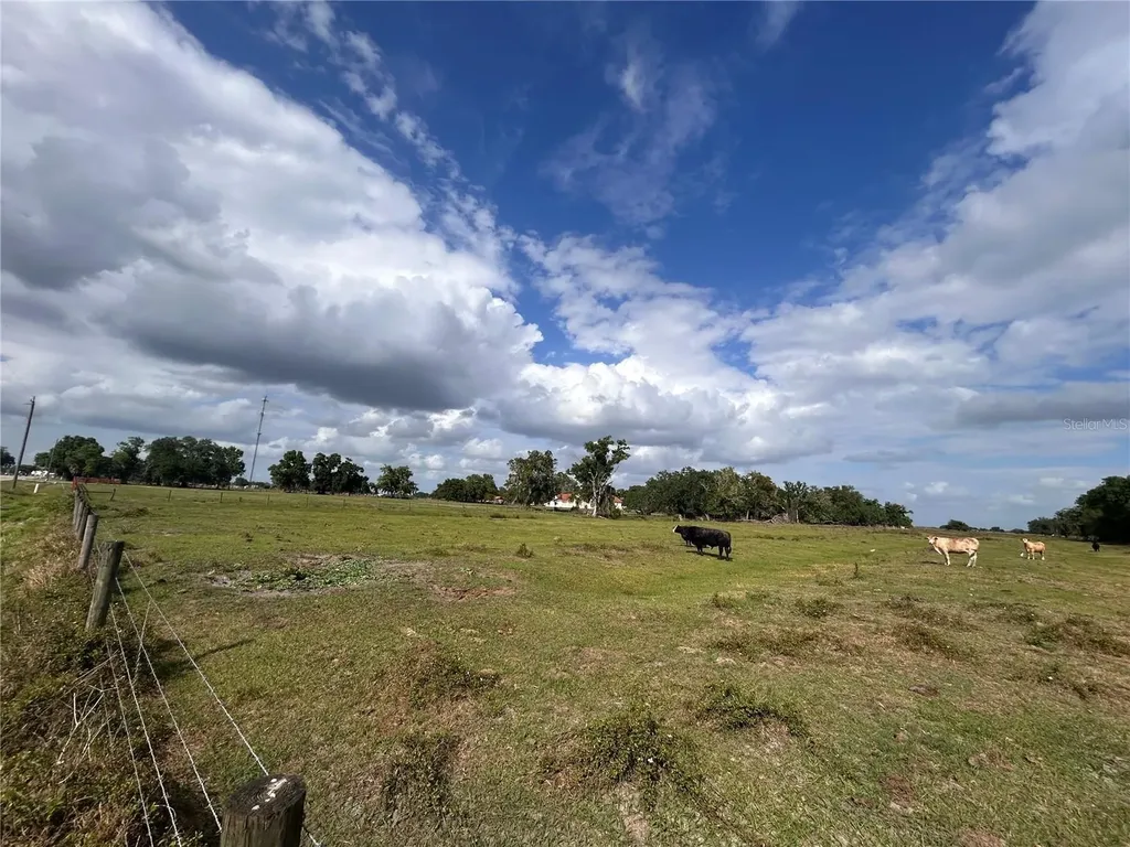 Washington Street Arcadia FL 34266