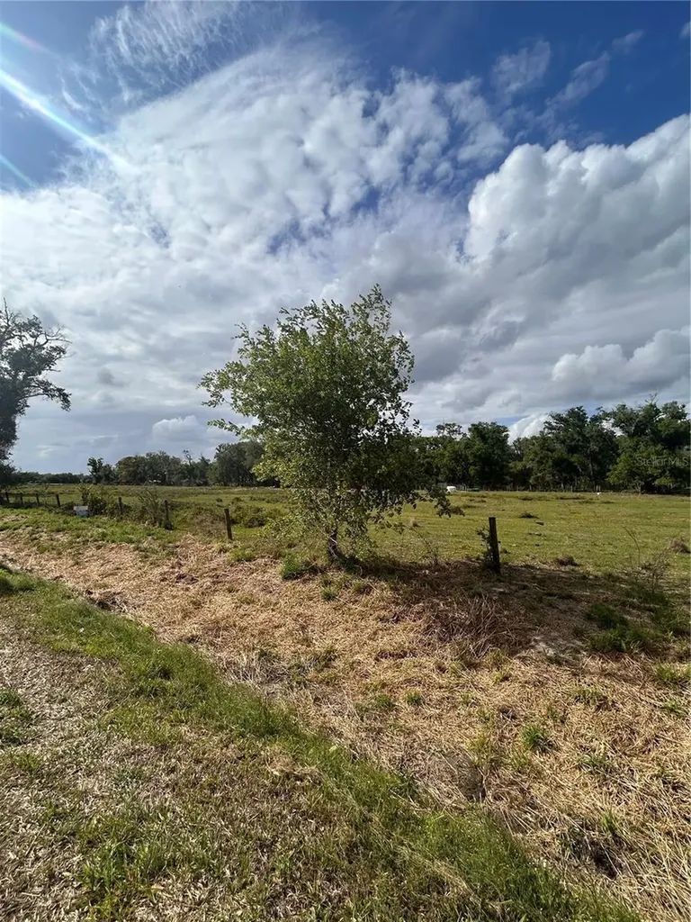 Washington Street Arcadia FL 34266