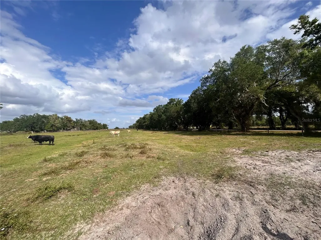 Washington Street Arcadia FL 34266