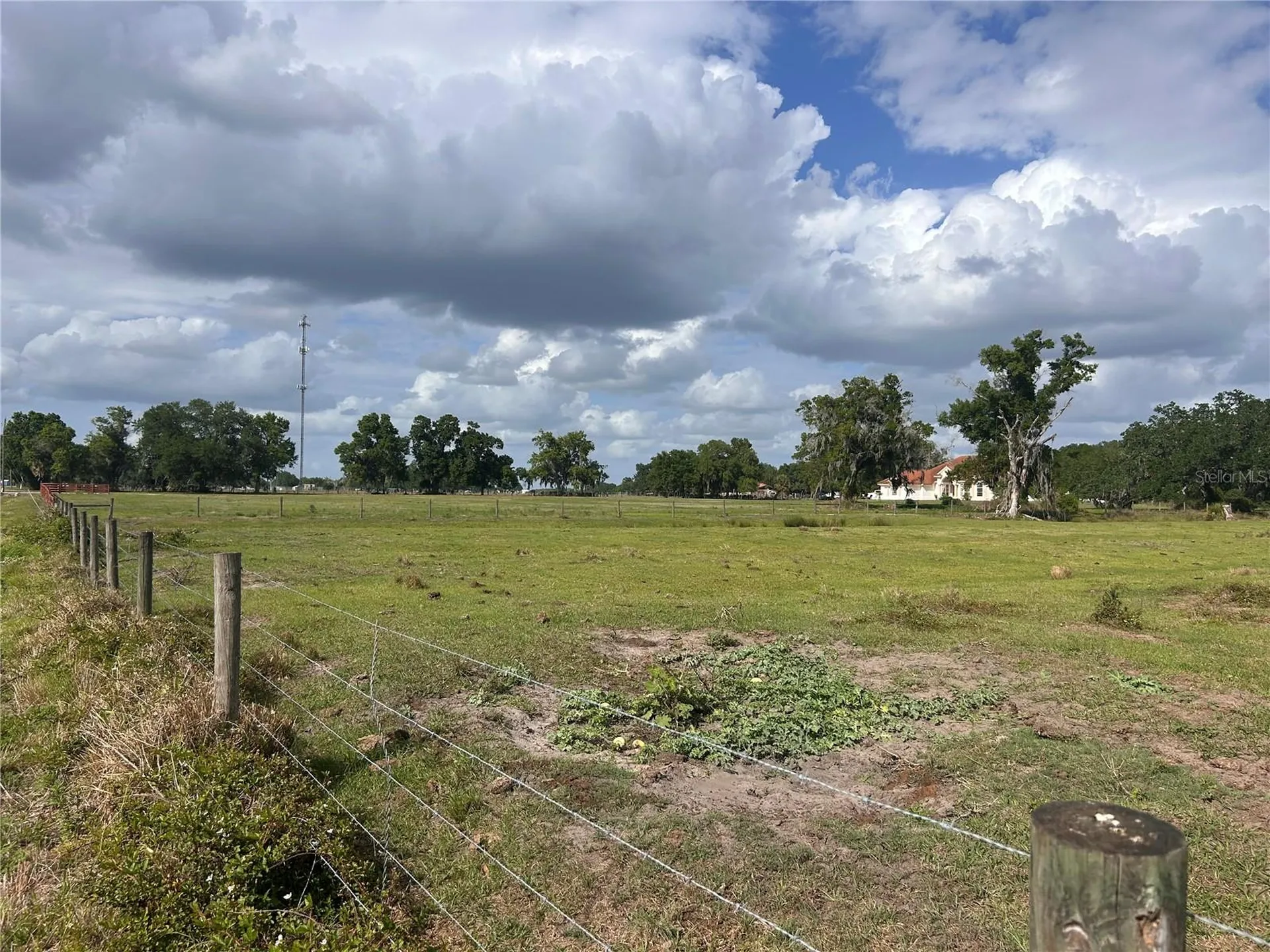 Washington Street Arcadia FL 34266