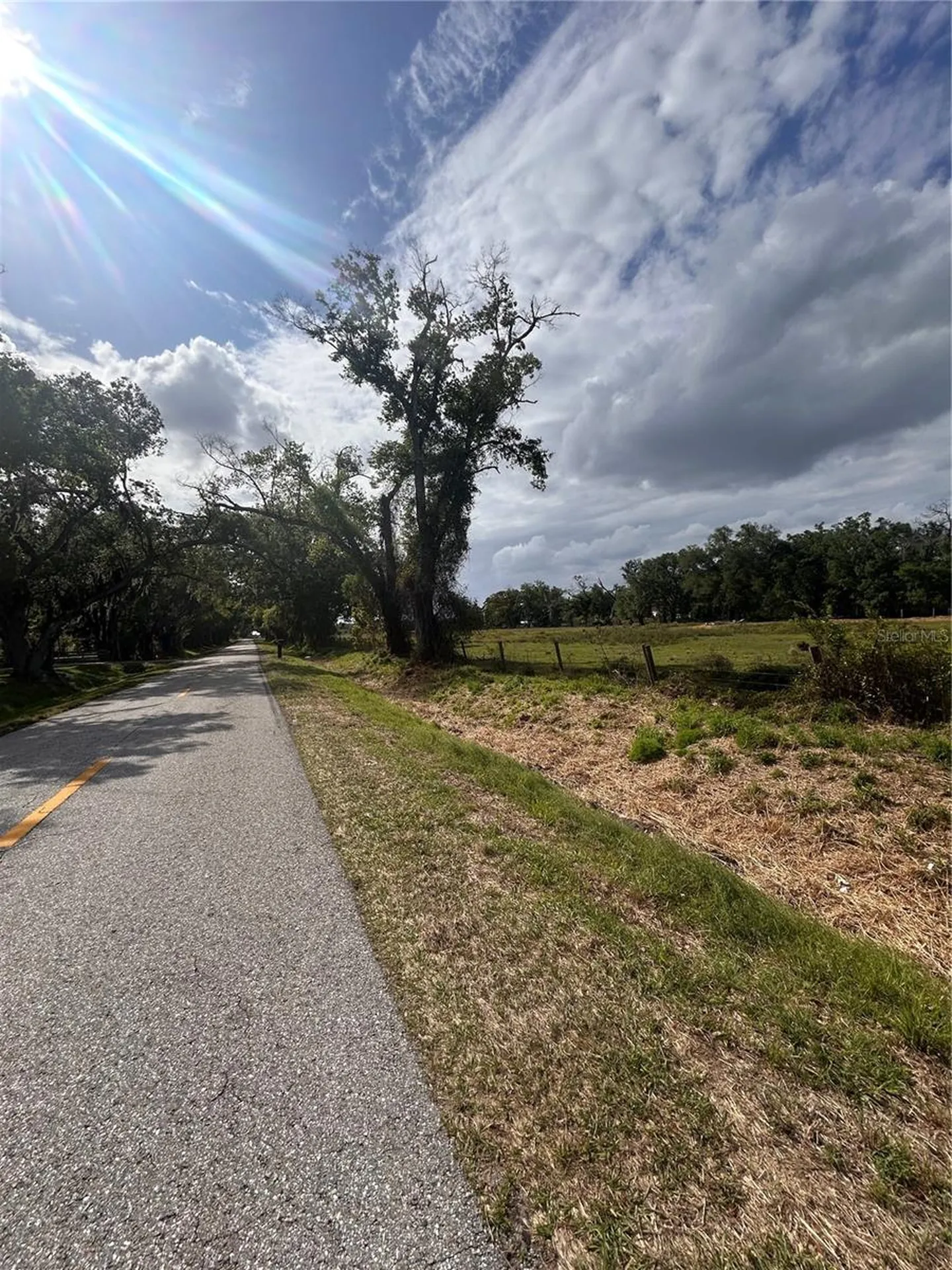 Washington Street Arcadia FL 34266