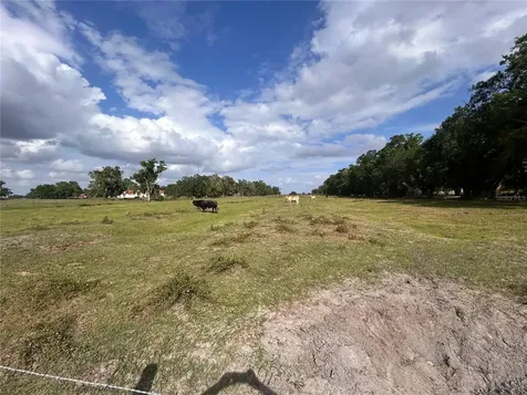 Washington Street Arcadia FL 34266