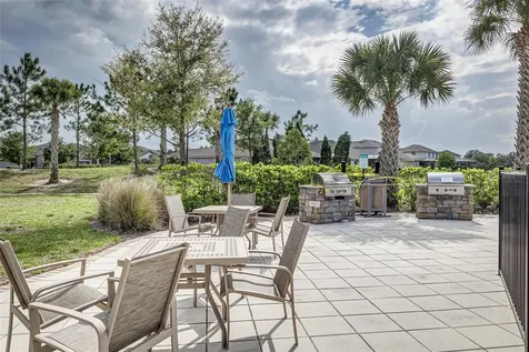 11670 Cambium Crown Drive Riverview FL 33569