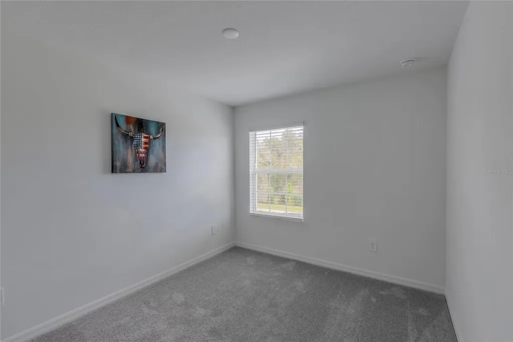 11091 Wishing Cloud Road Land O Lakes FL 34638