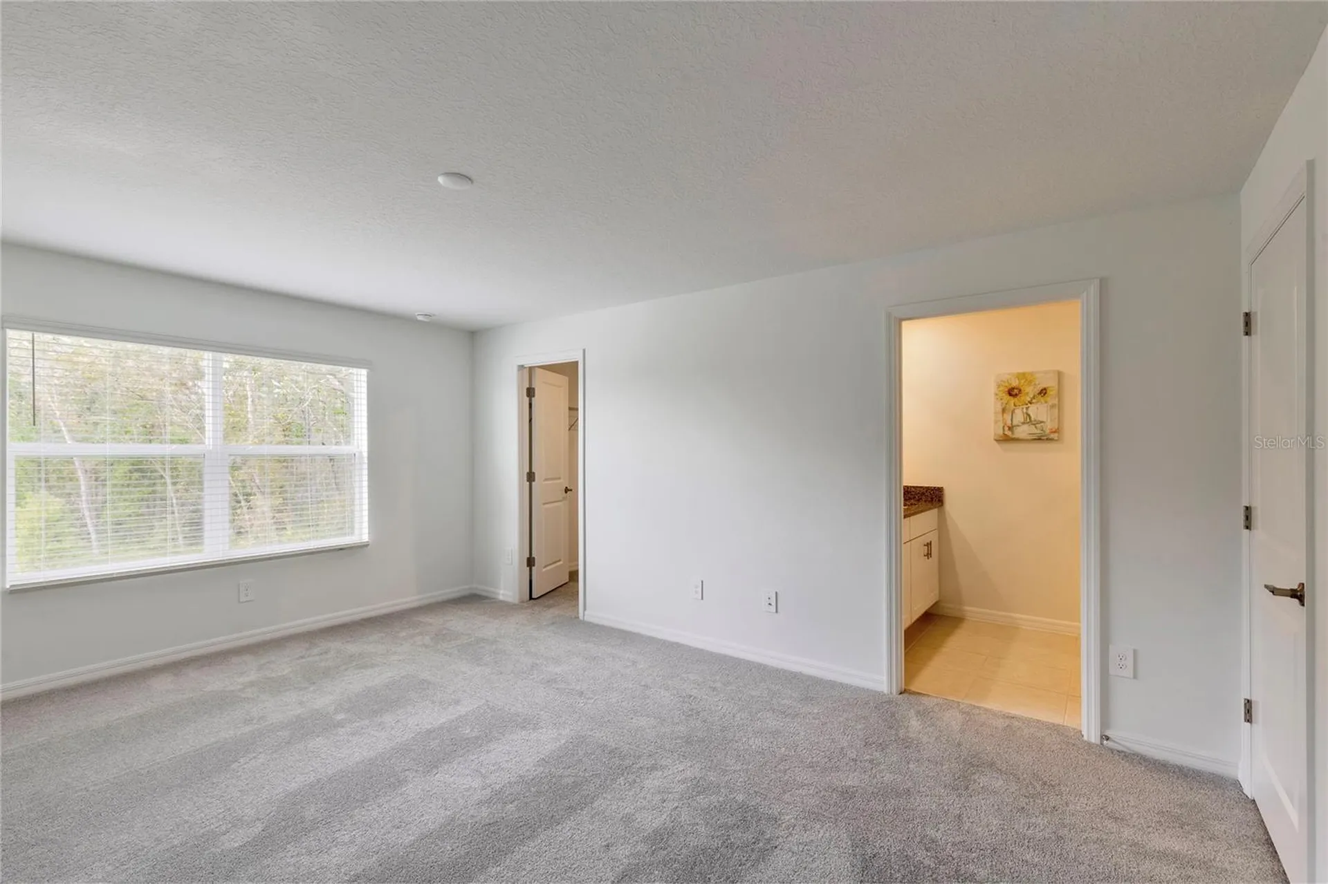 11091 Wishing Cloud Road Land O Lakes FL 34638