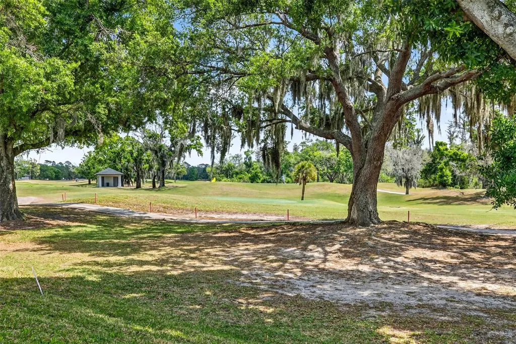 3819 Salida Delsol Drive Sun City Center FL 33573