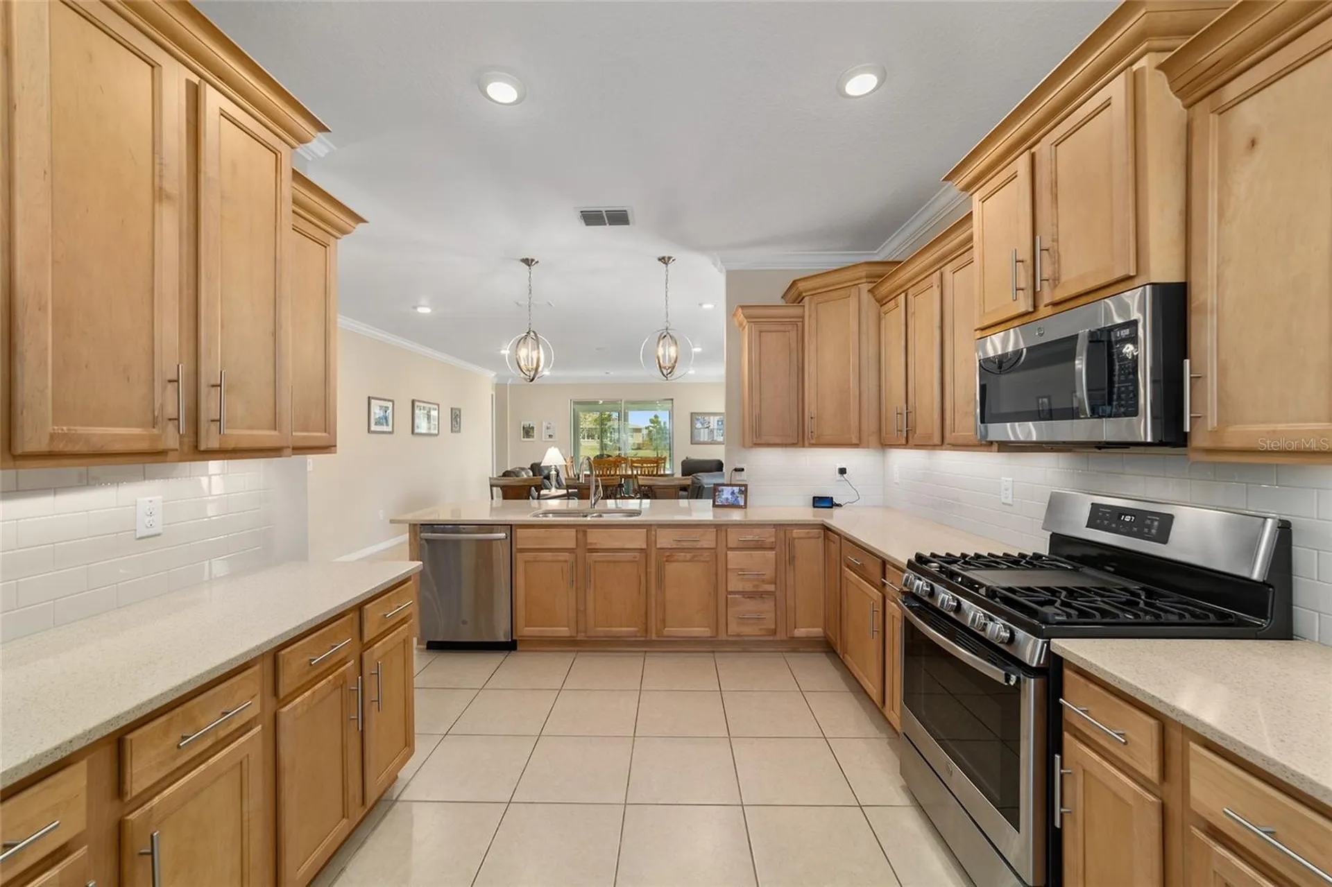 8862 SW 103rd Circle Ocala FL 34481