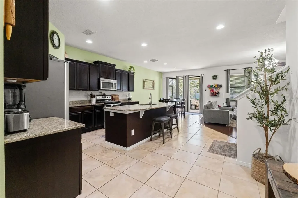 647 Alpine Thistle Drive Brooksville FL 34604
