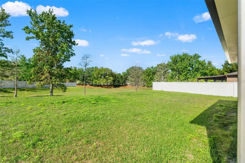 647 Alpine Thistle Drive Brooksville FL 34604