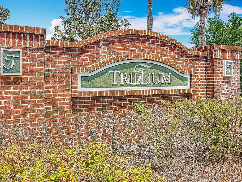647 Alpine Thistle Drive Brooksville FL 34604