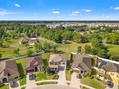 647 Alpine Thistle Drive Brooksville FL 34604