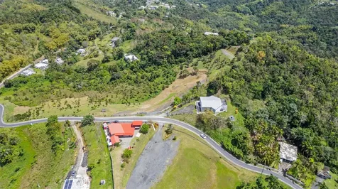 788 Bo Quemado Sector Aires Road San Lorenzo PR 00754