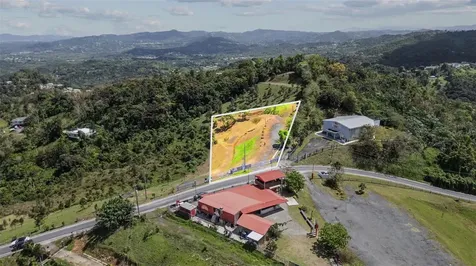 788 Bo Quemado Sector Aires Road San Lorenzo PR 00754