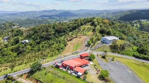 788 Bo Quemado Sector Aires Road San Lorenzo PR 00754