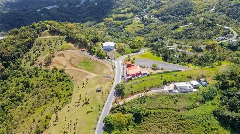 788 Bo Quemado Sector Aires Road San Lorenzo PR 00754