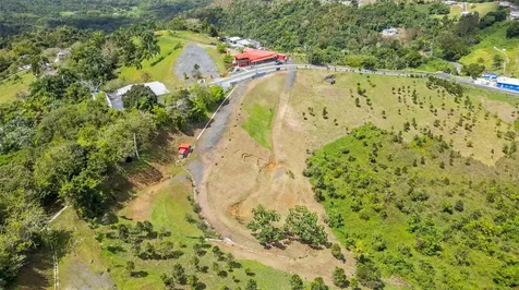788 Bo Quemado Sector Aires Road San Lorenzo PR 00754