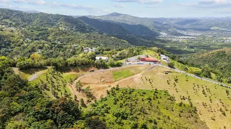 788 Bo Quemado Sector Aires Road San Lorenzo PR 00754