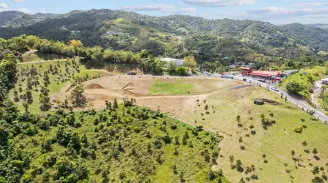 788 Bo Quemado Sector Aires Road San Lorenzo PR 00754