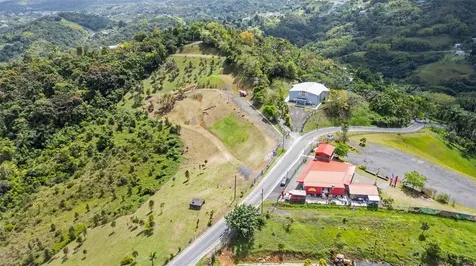 788 Bo Quemado Sector Aires Road San Lorenzo PR 00754