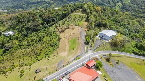 788 Bo Quemado Sector Aires Road San Lorenzo PR 00754