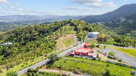 788 Bo Quemado Sector Aires Road San Lorenzo PR 00754
