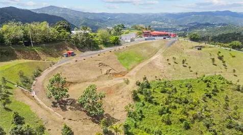 788 Bo Quemado Sector Aires Road San Lorenzo PR 00754