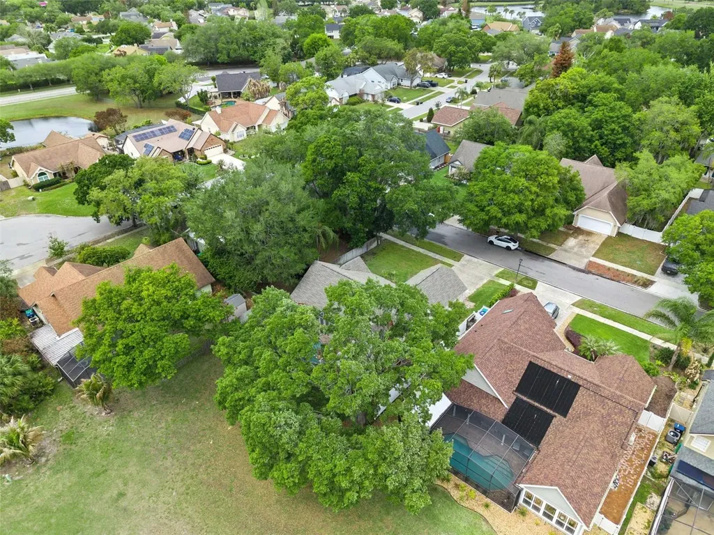 12406 Harney Drive Orlando FL 32828