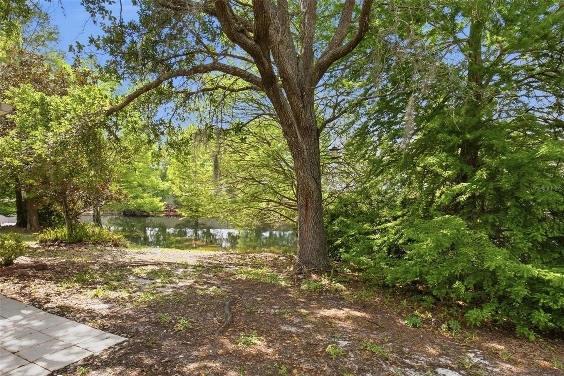 5751 Autumn Shire Drive Zephyrhills FL 33541