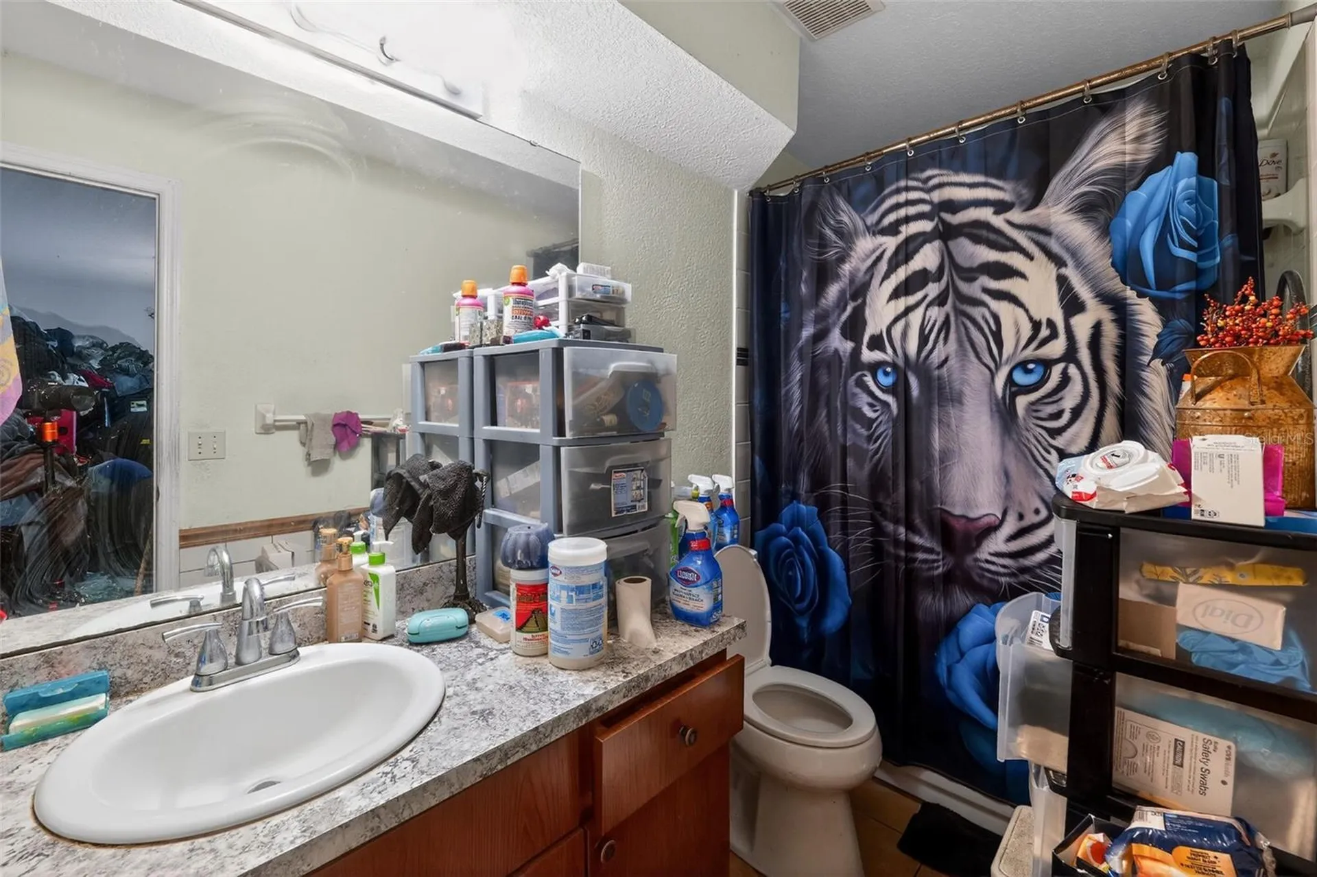 829 Shirley Ann Trail Lakeland FL 33809