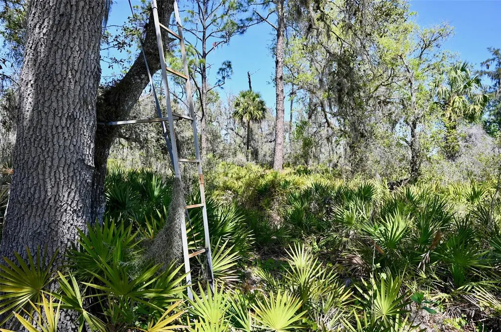 3832 SW Wildcat Run Road Arcadia FL 34266