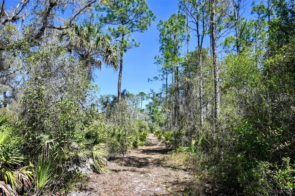 3832 SW Wildcat Run Road Arcadia FL 34266