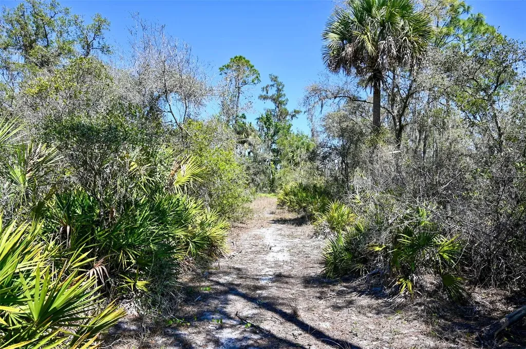 3832 SW Wildcat Run Road Arcadia FL 34266
