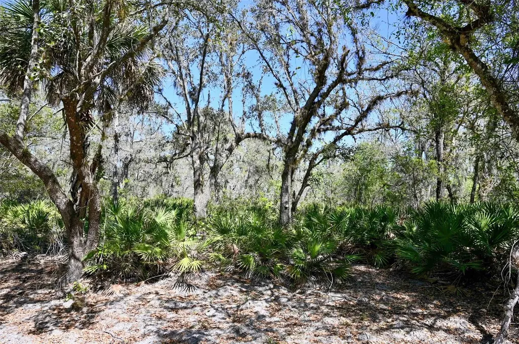 3832 SW Wildcat Run Road Arcadia FL 34266