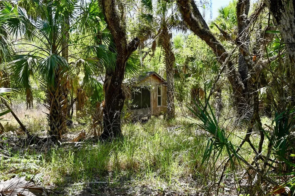 3832 SW Wildcat Run Road Arcadia FL 34266
