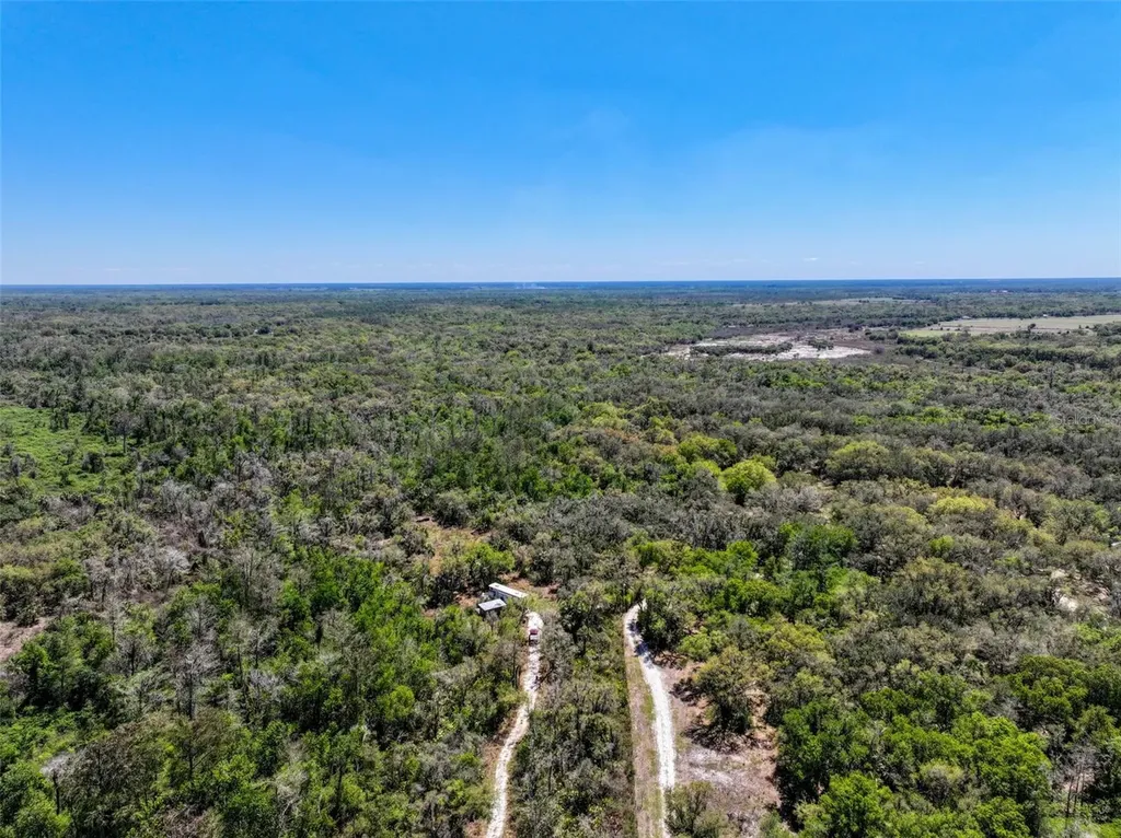 3832 SW Wildcat Run Road Arcadia FL 34266