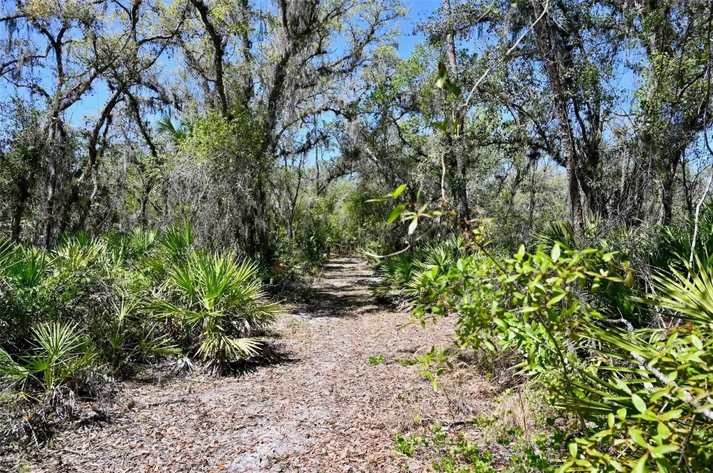 3832 SW Wildcat Run Road Arcadia FL 34266