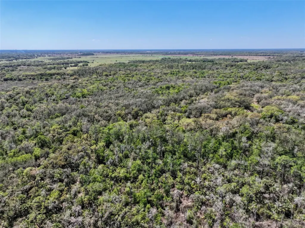 3832 SW Wildcat Run Road Arcadia FL 34266