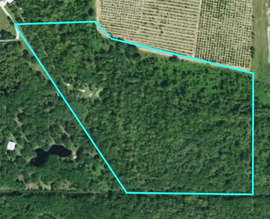 3832 SW Wildcat Run Road Arcadia FL 34266