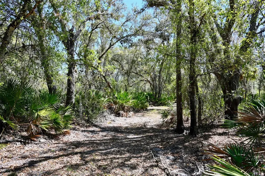 3832 SW Wildcat Run Road Arcadia FL 34266