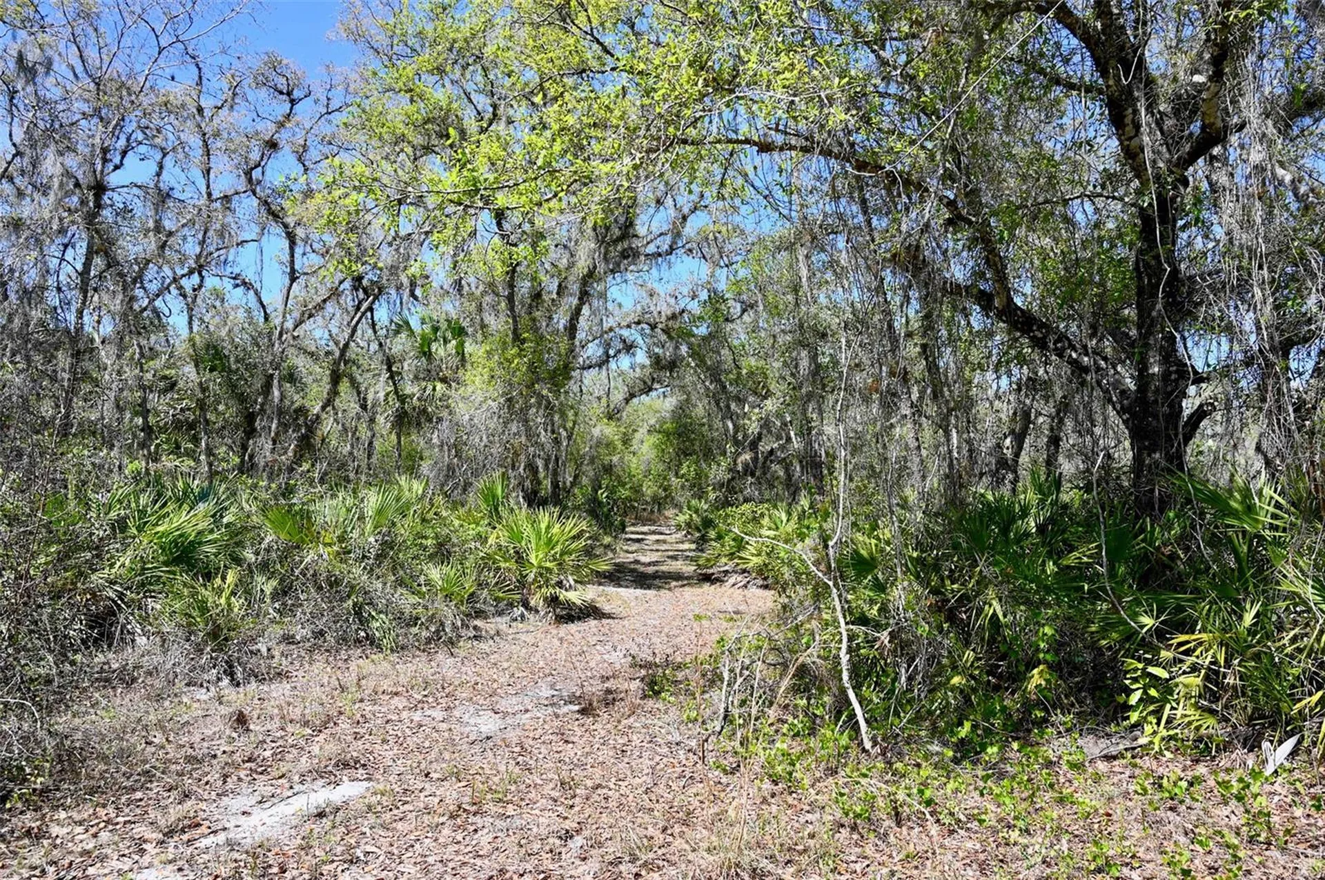 3832 SW Wildcat Run Road Arcadia FL 34266