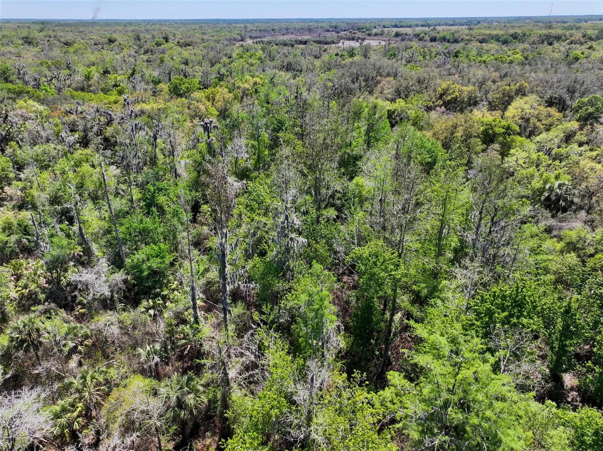 3832 SW Wildcat Run Road Arcadia FL 34266