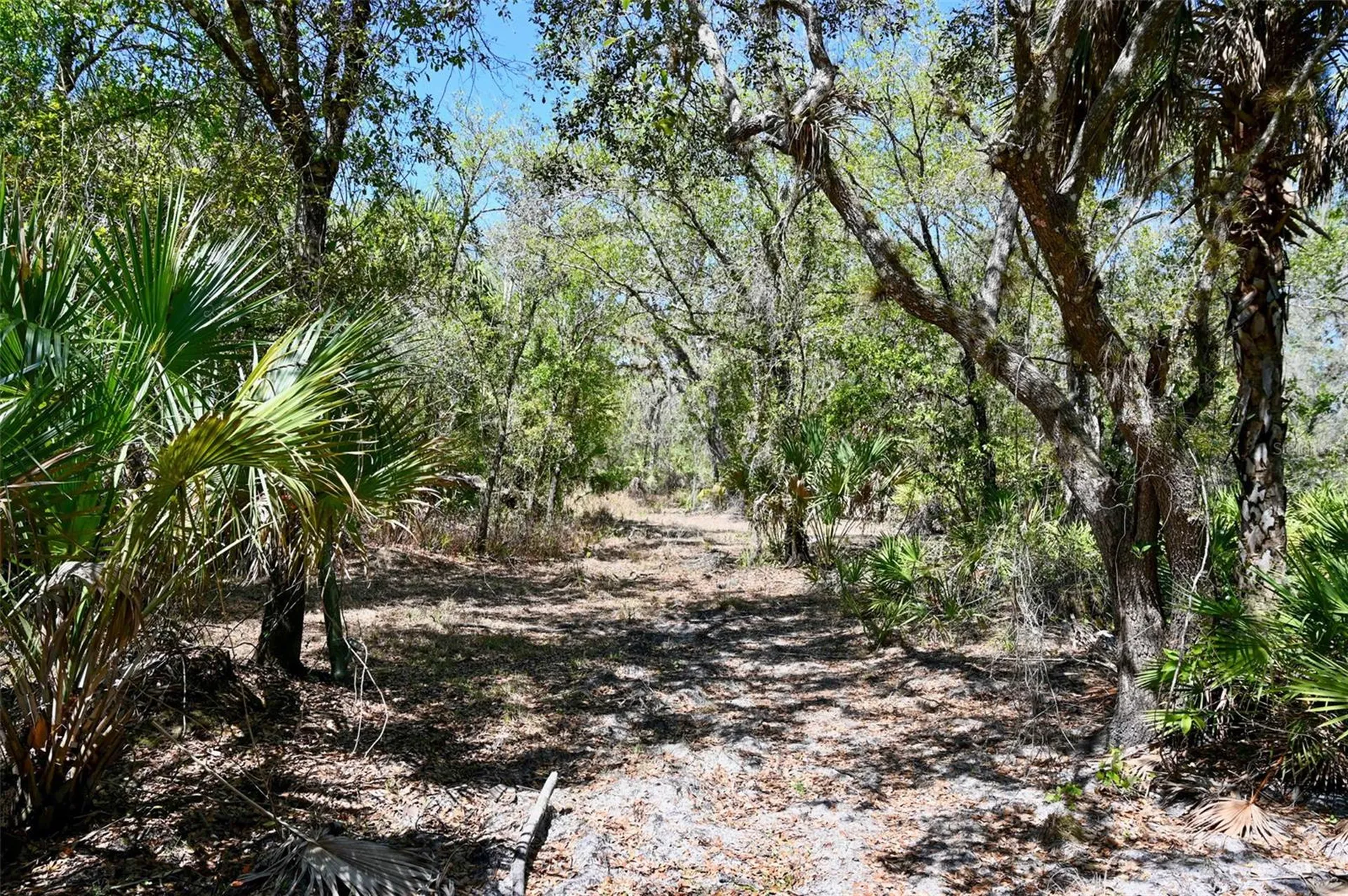 3832 SW Wildcat Run Road Arcadia FL 34266